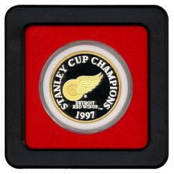 Detroit Red Wings Medallion in Air-Tite Frame Holder